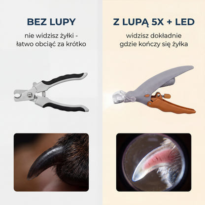 Futrzol - Pazurek